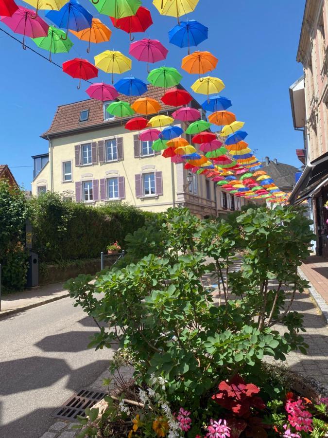 Meubles De La Doller, Les Canards Daire Masevaux-Niederbruck Dış mekan fotoğraf